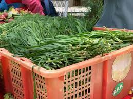 未来政府如何优化水稻食品出口市场的监管体系